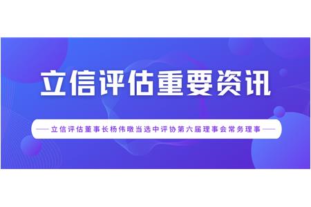 立信评估董事长杨伟暾当选中评协第六届理事会常务理事
